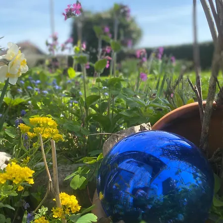 アパート Traumhaft Grosse Naehe Attersee ザンクト・ゲオルゲン・イム・アッターガウ