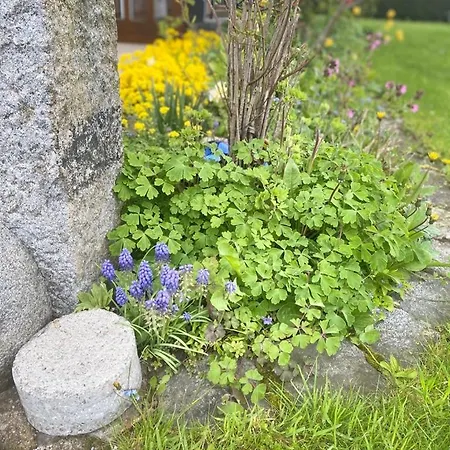 Traumhaft Grosse Naehe Attersee アパート ザンクト・ゲオルゲン・イム・アッターガウ