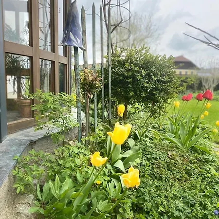 Traumhaft Grosse Naehe Attersee アパート *