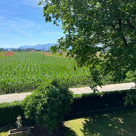 Traumhaft Grosse Naehe Attersee * St. Georgen im Attergau