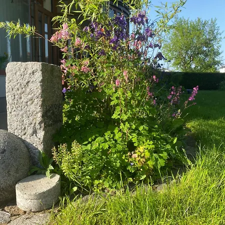 Traumhaft Grosse Naehe Attersee