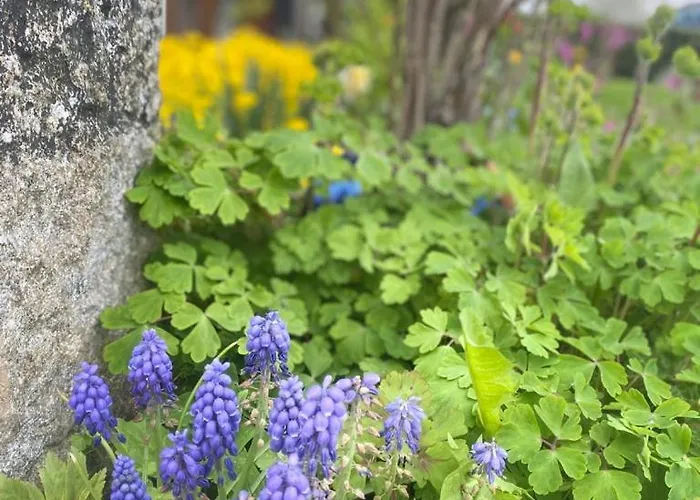 Traumhaft Grosse Naehe Attersee