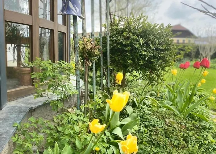 Traumhaft Grosse Naehe Attersee Apartmán *