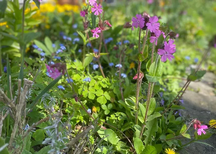 Traumhaft Grosse Naehe Attersee