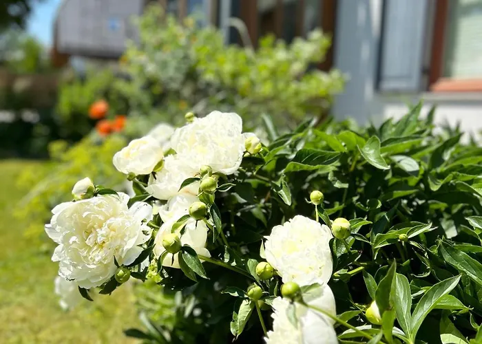 Appartement Traumhaft Grosse Naehe Attersee Sankt Georgen im Attergau