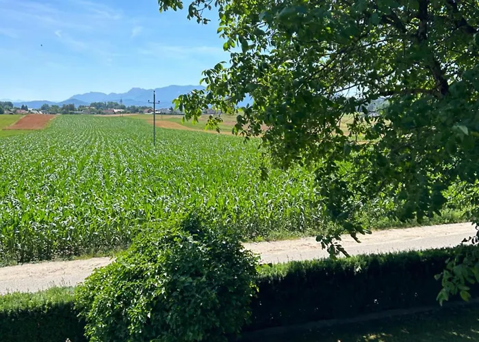 Traumhaft Grosse Naehe Attersee * Sankt Georgen im Attergau