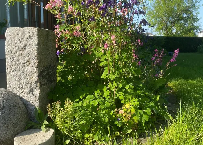 Traumhaft Grosse Naehe Attersee