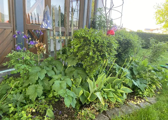 Traumhaft Grosse Naehe Attersee