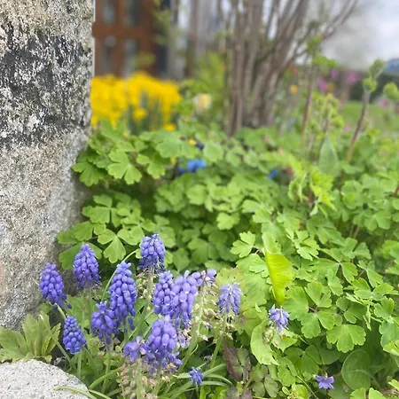 Traumhaft Grosse Naehe Attersee