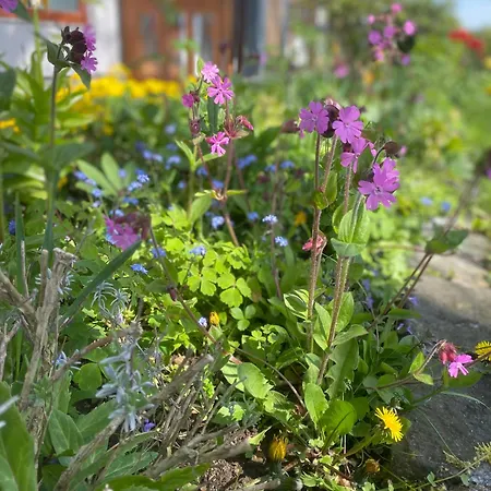 Traumhaft Grosse Naehe Attersee