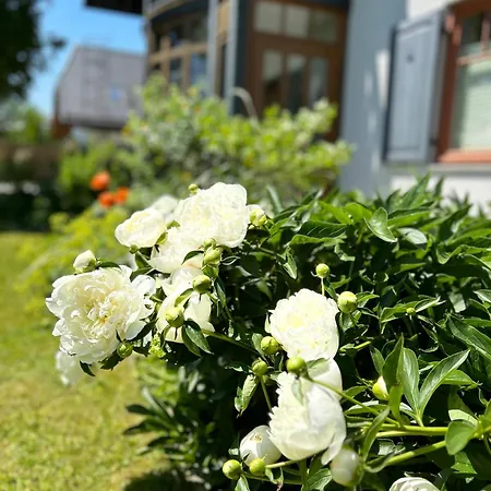 Apartment Traumhaft Grosse Naehe Attersee Sankt Georgen im Attergau