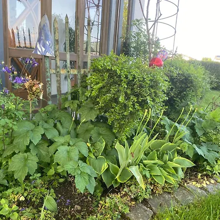 Traumhaft Grosse Naehe Attersee