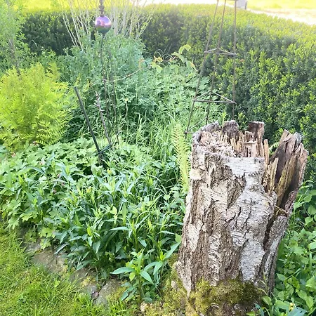 Traumhaft Grosse Naehe Attersee Apartment Sankt Georgen im Attergau