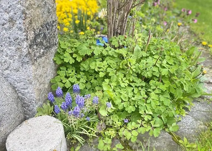 Traumhaft Grosse Naehe Attersee شقة سانكت جورجين ام اترغاو