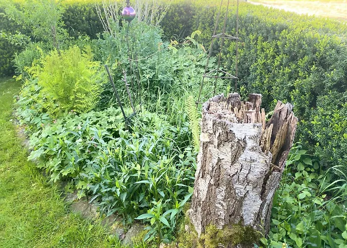 Traumhaft Grosse Naehe Attersee شقة سانكت جورجين ام اترغاو